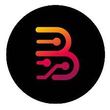 Logo Borneo Schematics