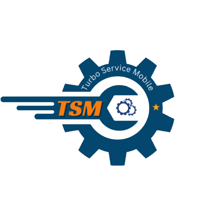Logo TSMTool